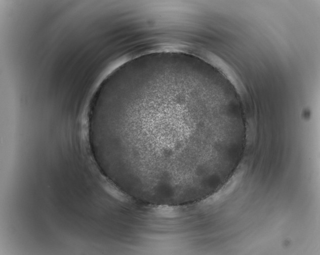 X0000102400827200808151941