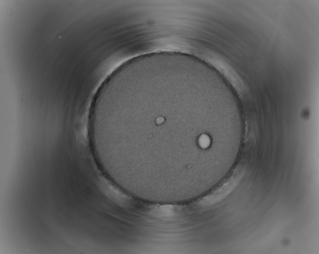 X0000102400828200808151941