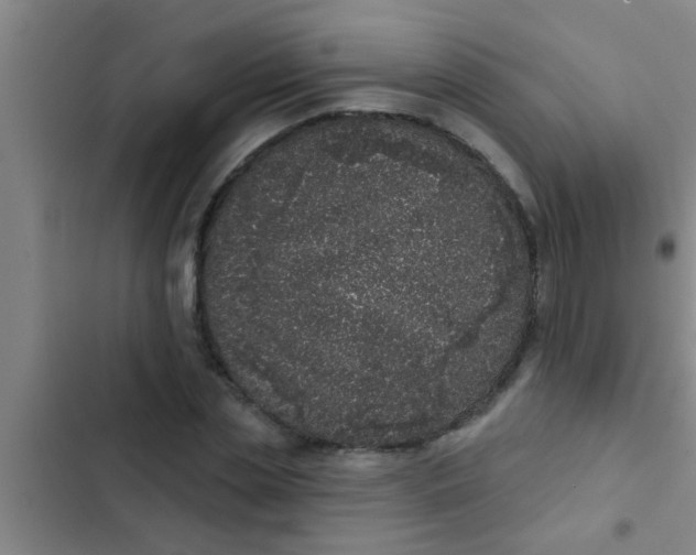 X0000102400829200808151941