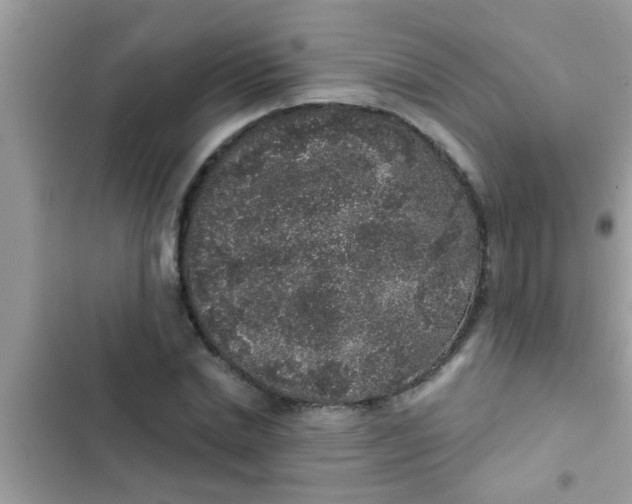 X0000102400830200808151941