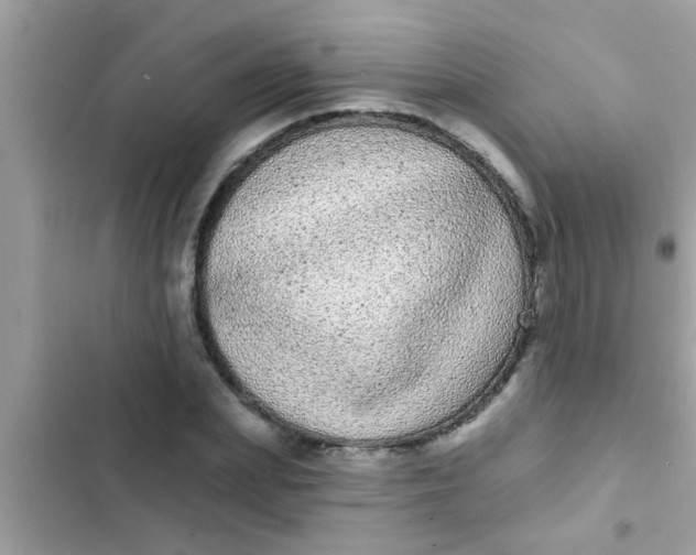 X0000102400831200808151941