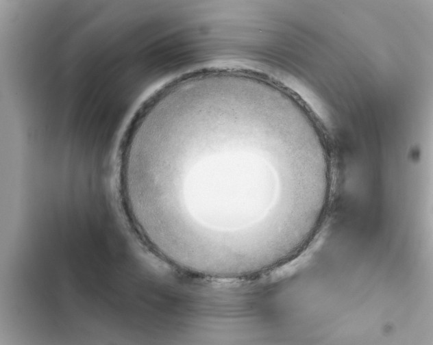 X0000102400832200808151941