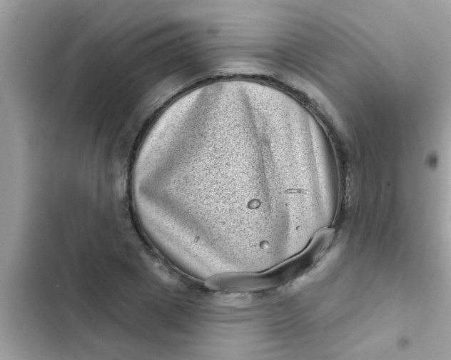 X0000102400833200808151941