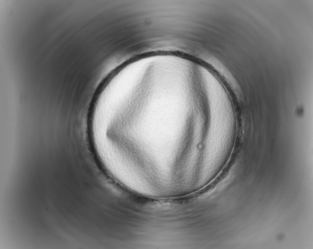 X0000102400834200808151941