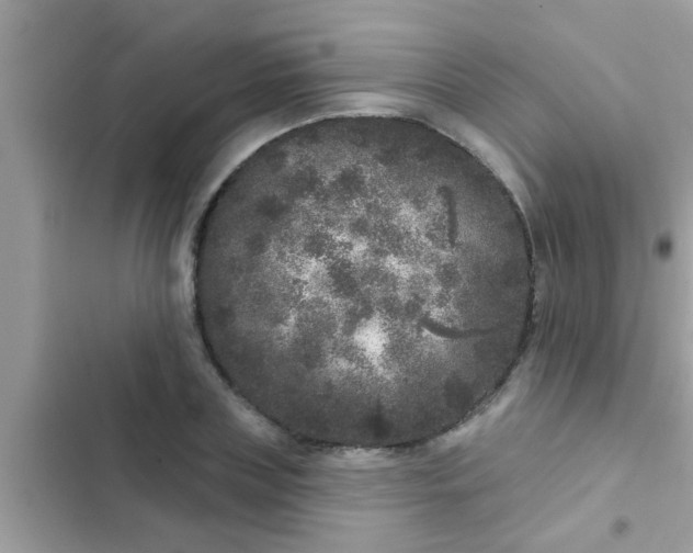 X0000102400835200808151941