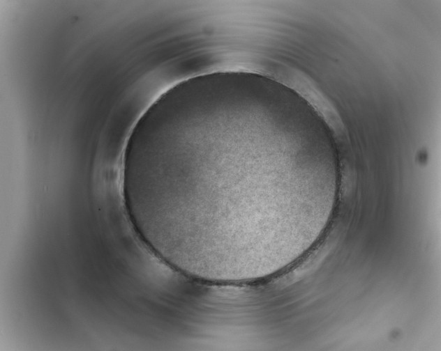 X0000102400836200808151941