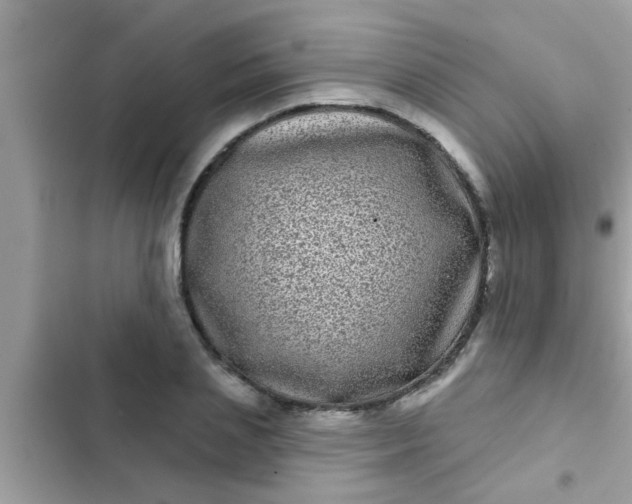 X0000102400837200808151941