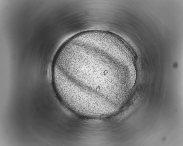 X0000102400838200808151941