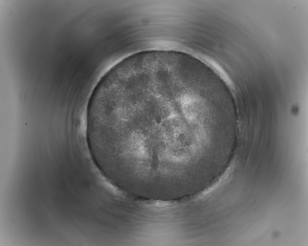 X0000102400839200808151941