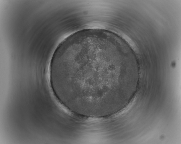 X0000102400840200808151941