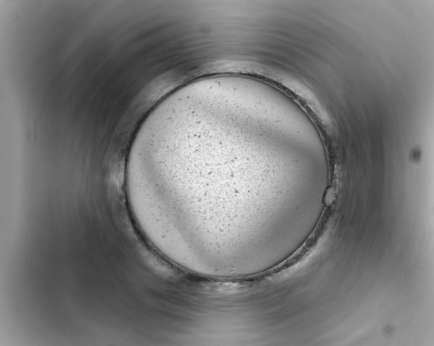 X0000102400841200808151941