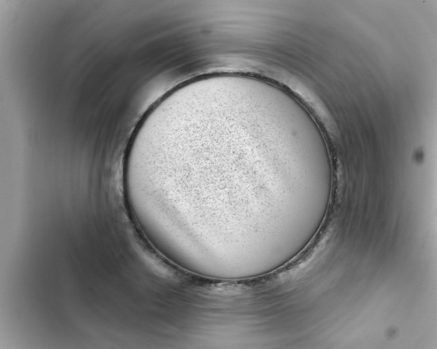 X0000102400842200808151941