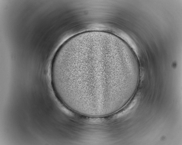 X0000102400843200808151941