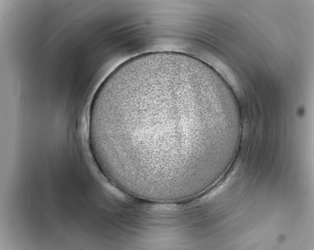 X0000102400844200808151941