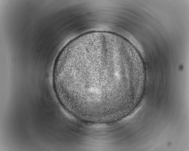 X0000102400845200808151941