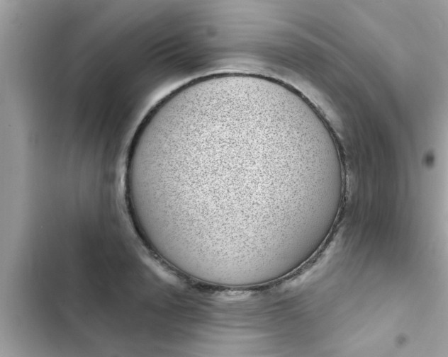 X0000102400846200808151941