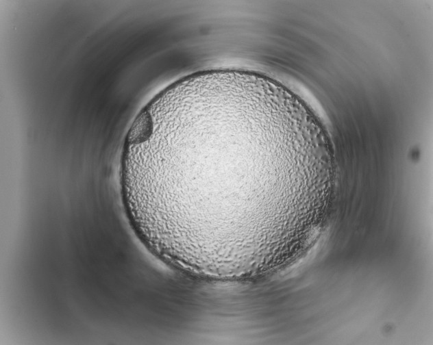 X0000102400847200808151941