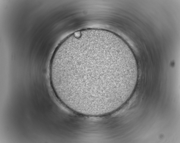 X0000102400848200808151941