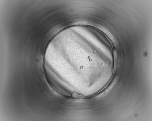 X0000102400849200808151941