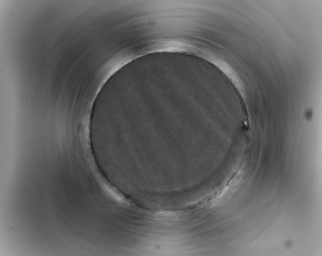 X0000102400850200808151941