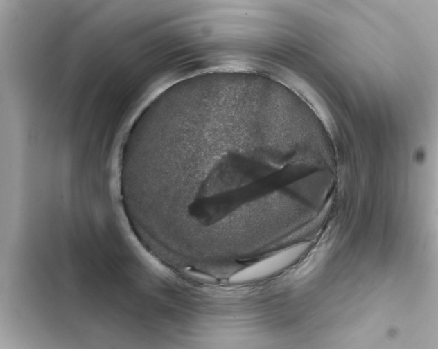 X0000102400851200808151941