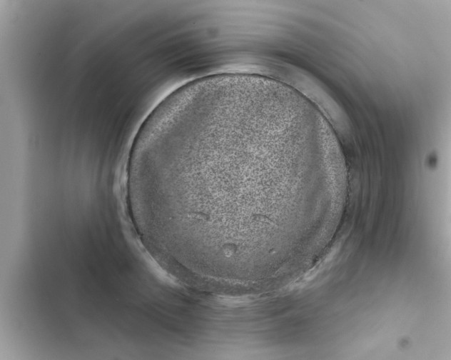 X0000102400852200808151941