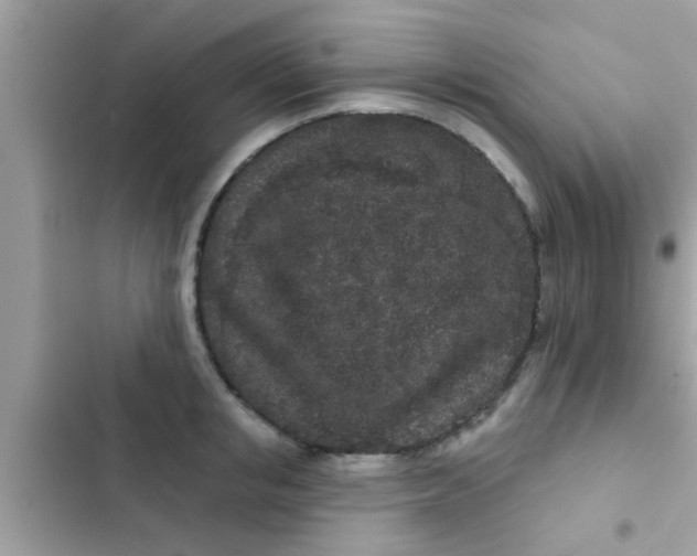 X0000102400853200808151941