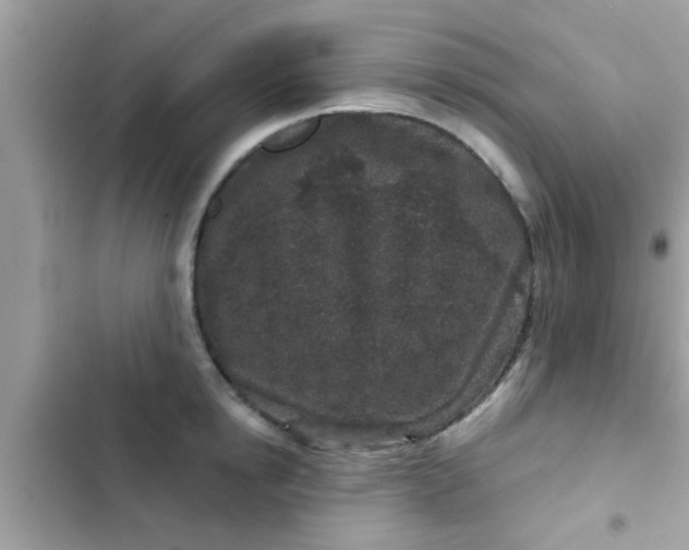 X0000102400854200808151941