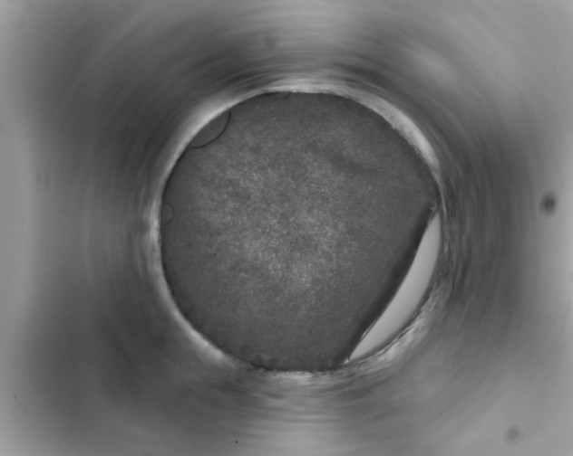 X0000102400855200808151941