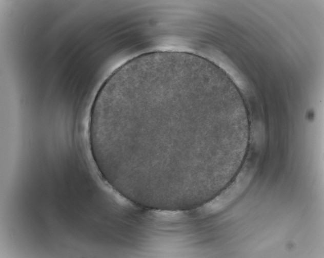 X0000102400856200808151941