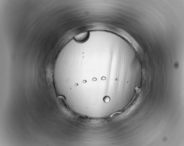 X0000102400857200808151941