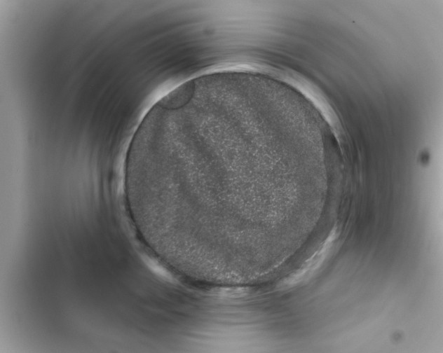 X0000102400858200808151941