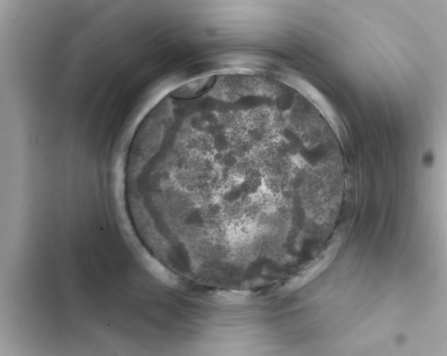 X0000102400859200808151941