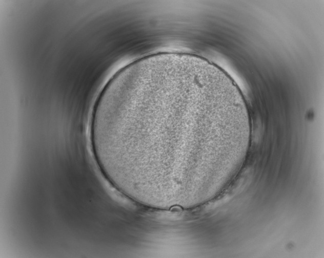 X0000102400861200808151941