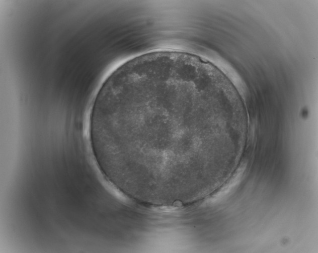 X0000102400862200808151941