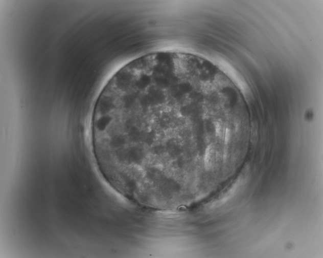 X0000102400863200808151941