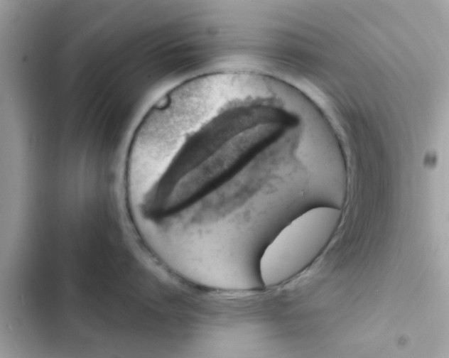 X0000102400864200808151941