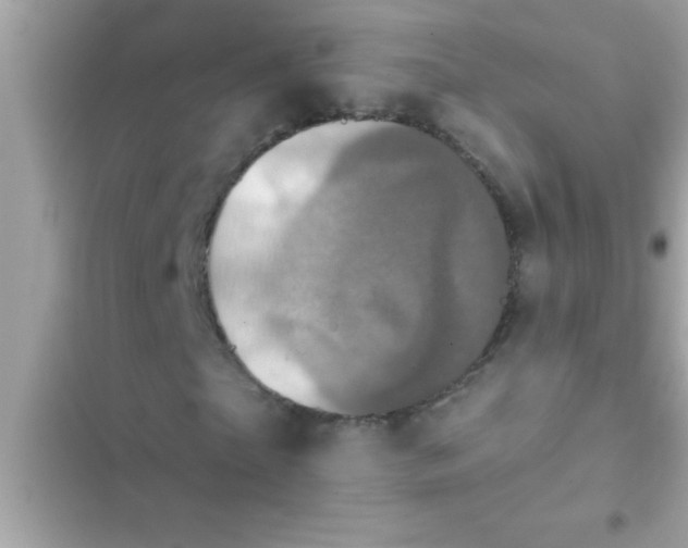 X0000102400865200808151941