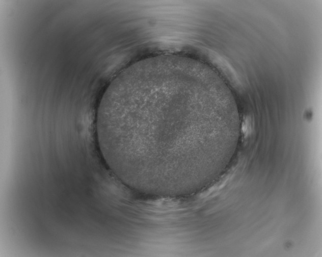 X0000102400867200808151941