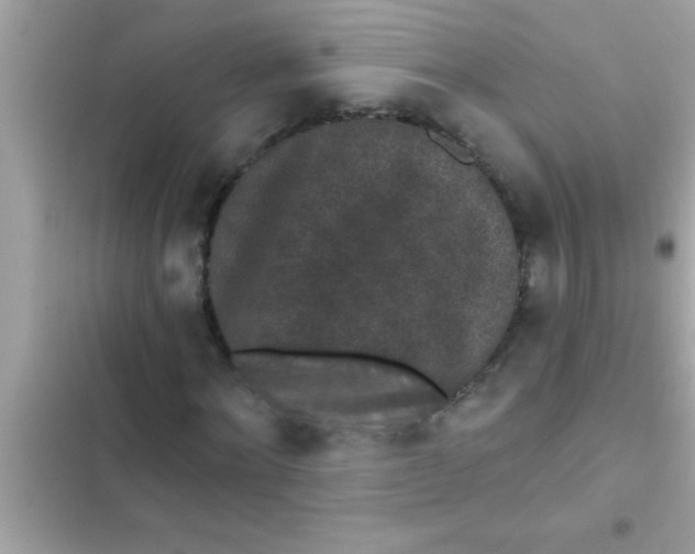 X0000102400868200808151941