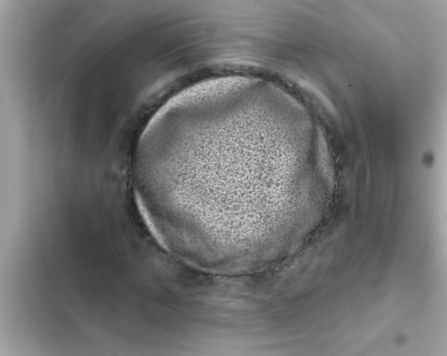 X0000102400870200808151941