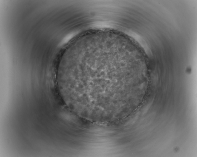 X0000102400871200808151941