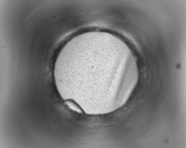 X0000102400872200808151941