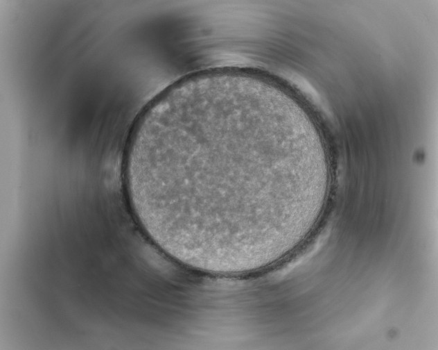 X0000102400873200808151941