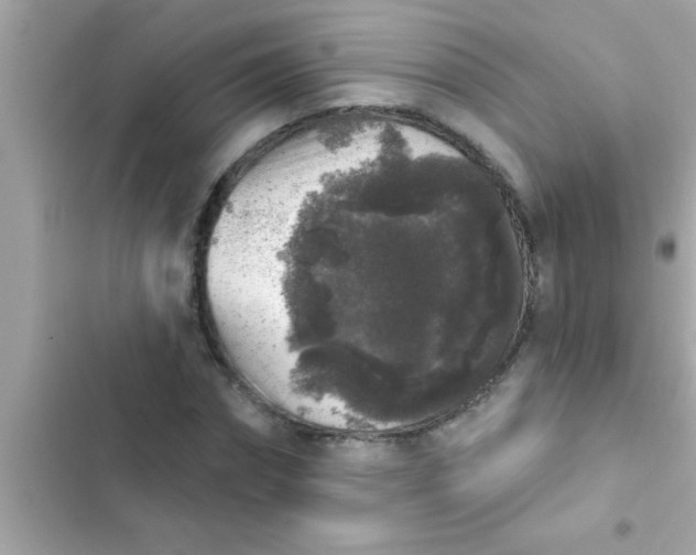 X0000102400874200808151941