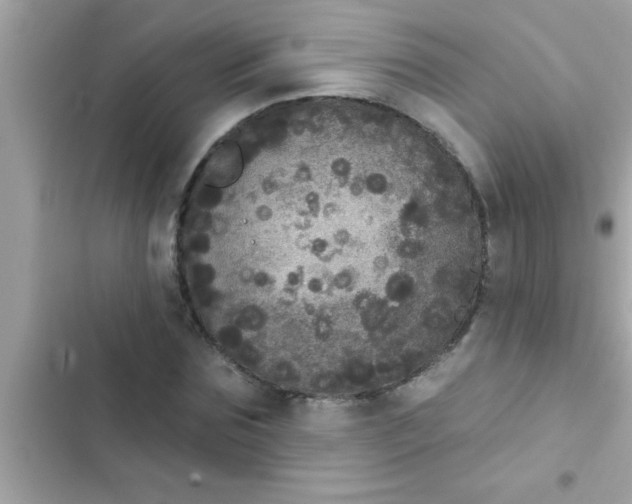 X0000102400875200808151941