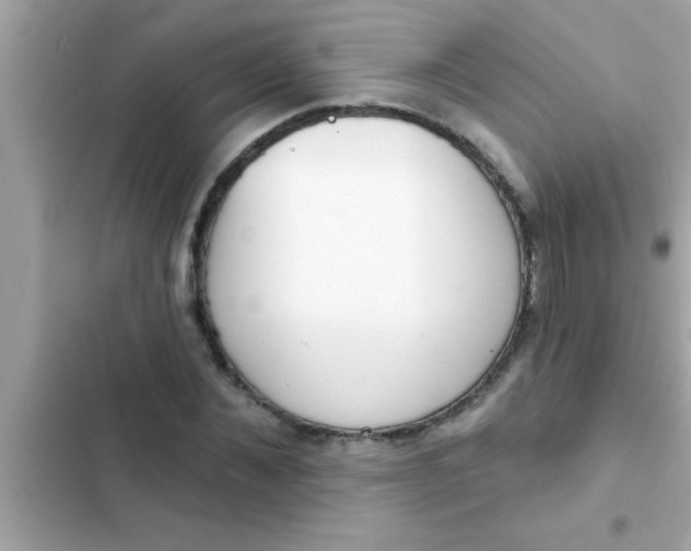 X0000102400876200808151941