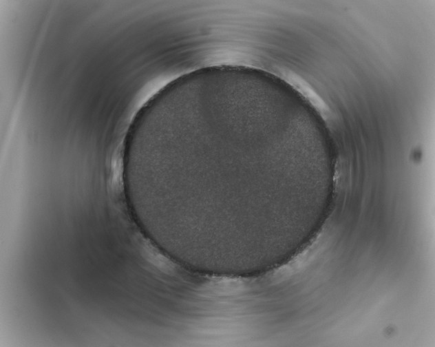 X0000102400877200808151941