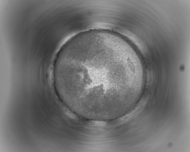 X0000102400878200808151941