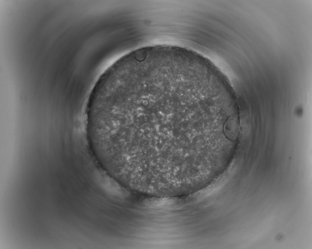 X0000102400879200808151941